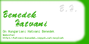 benedek hatvani business card